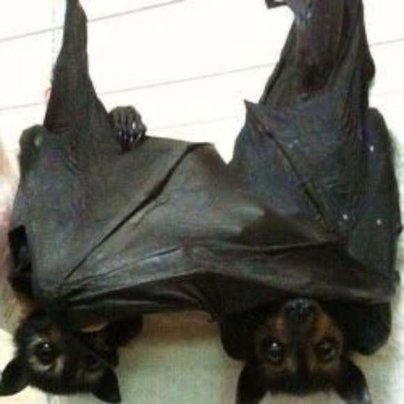 Send me offers! - Picture 12 of 15